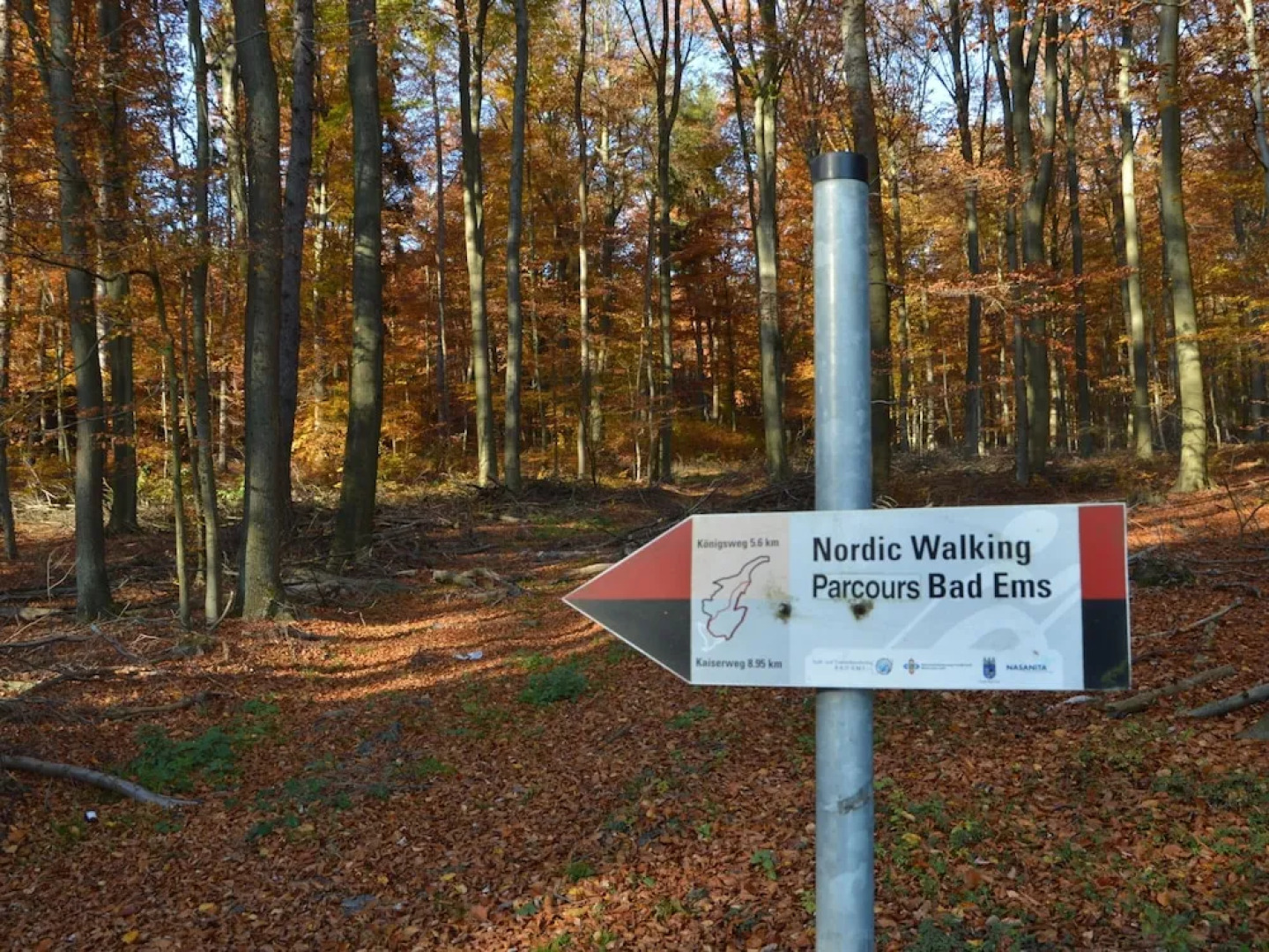 Lavish Retreat in Bad Ems