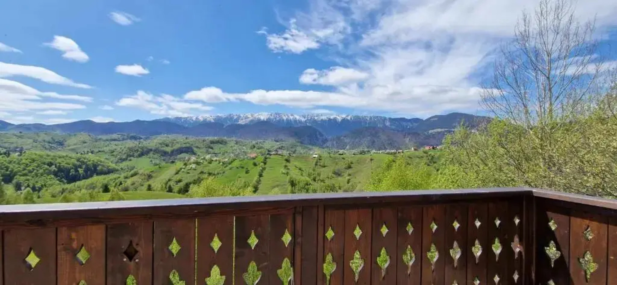 Alpine Escape Studios