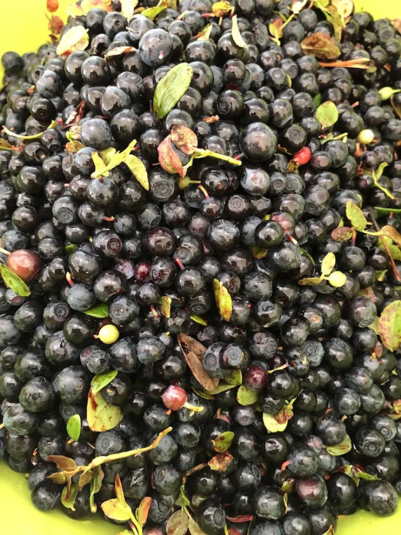 Sangis Motell och Camping AB