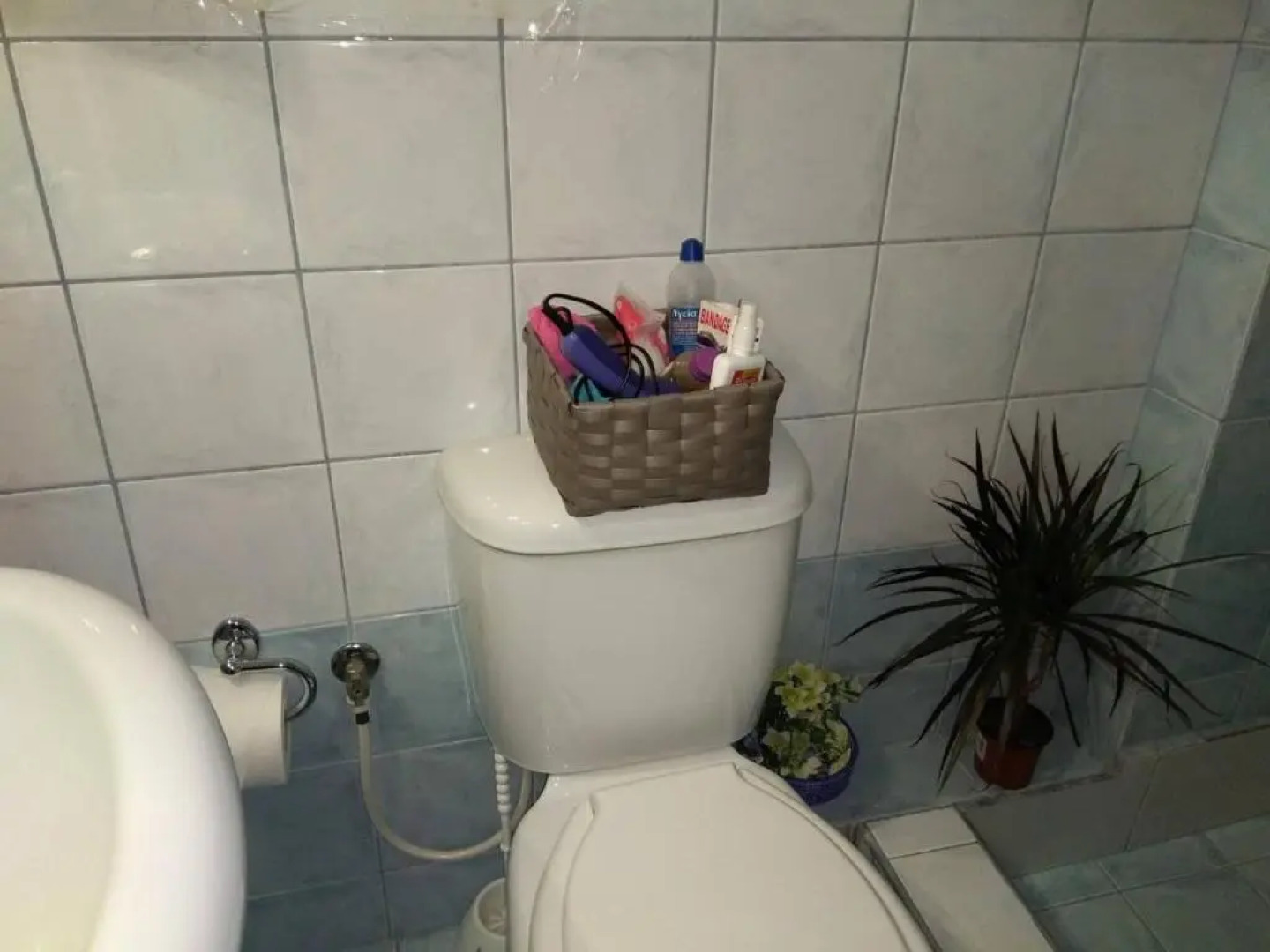 Anastasia's Apartment 2