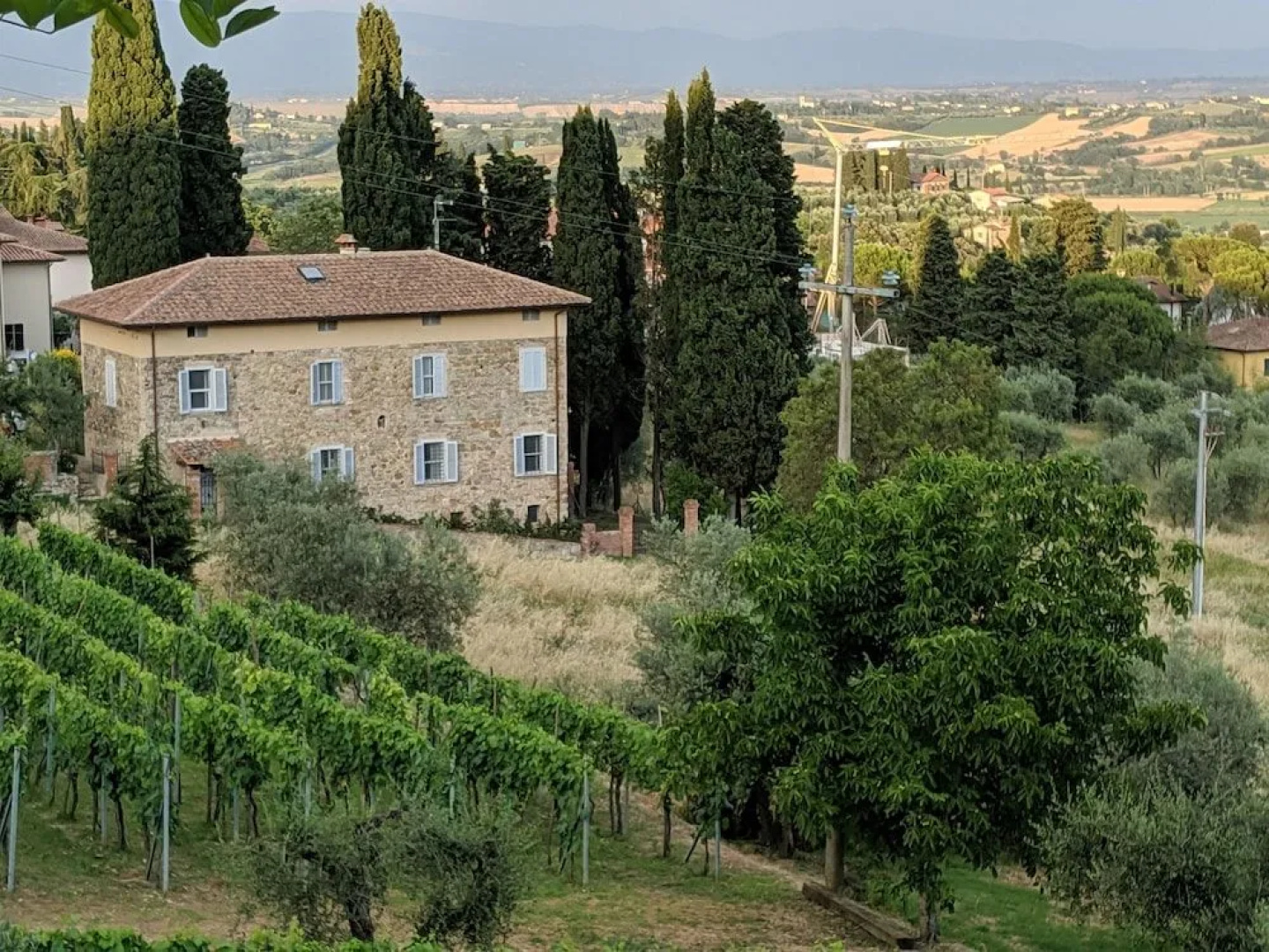 Cipresso e Pietra