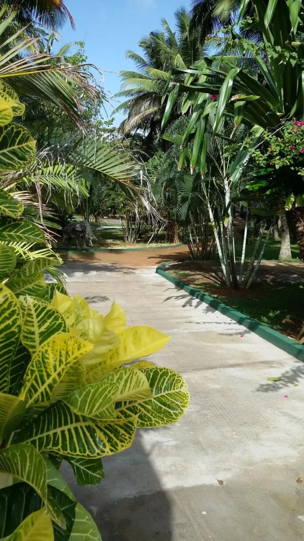 Sri Lanka Beach House