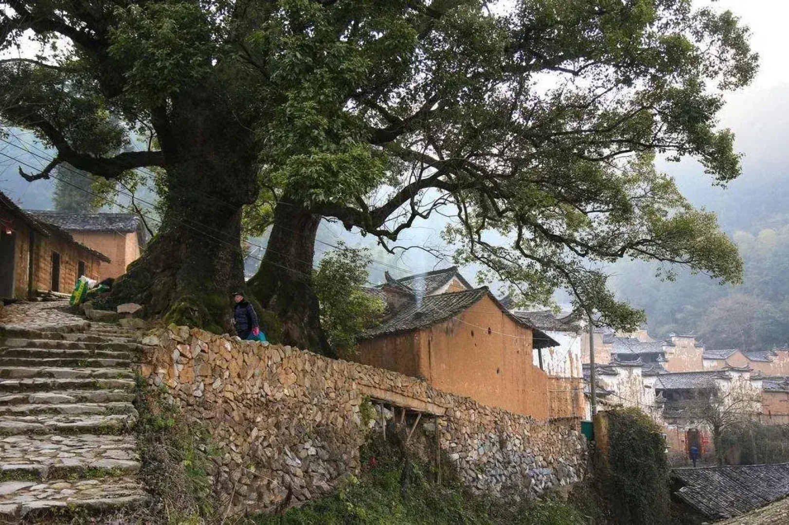 Yangjiatang Seclusive Genealand