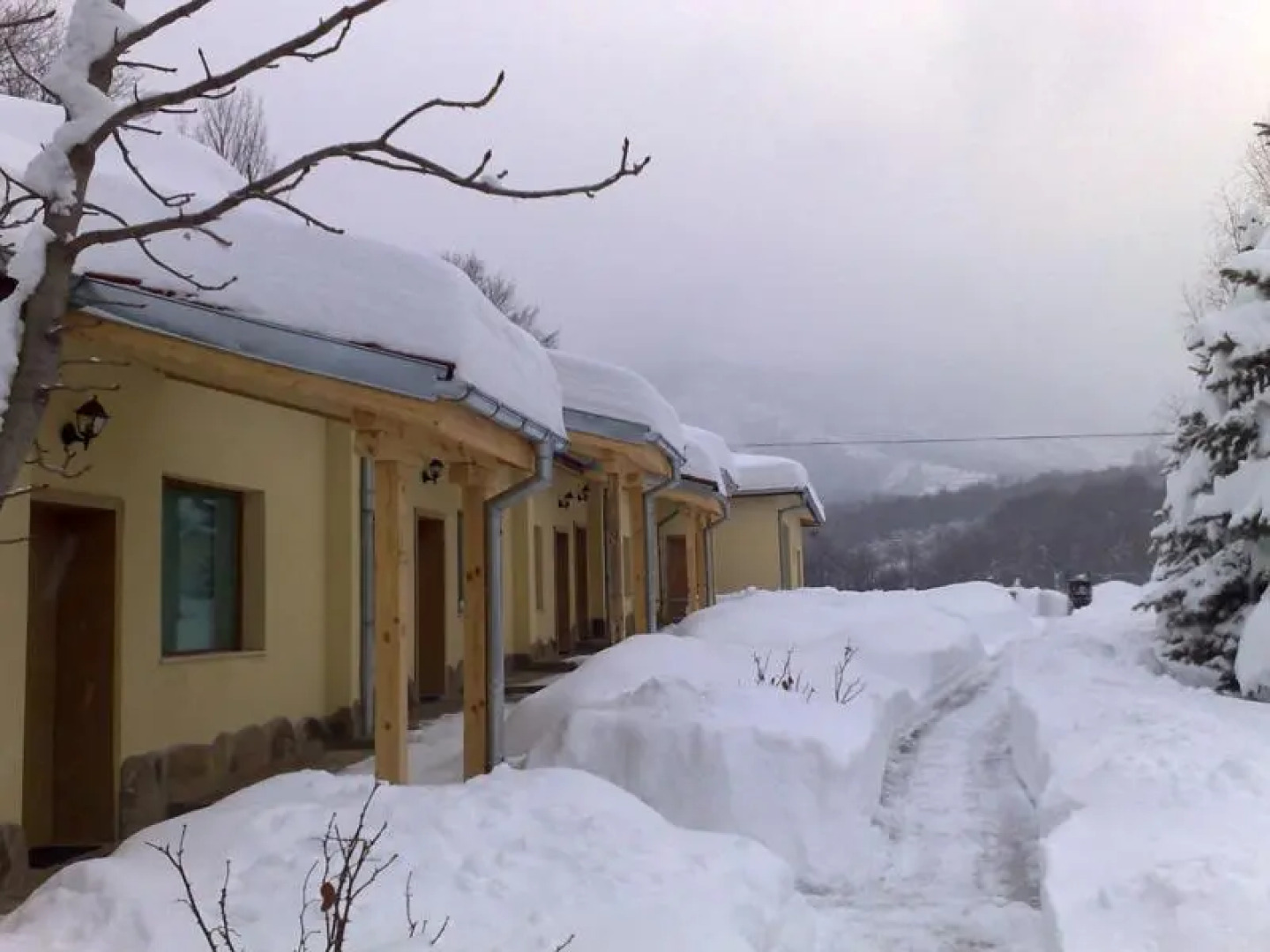 Hotel Panorama (Golden EOOD)