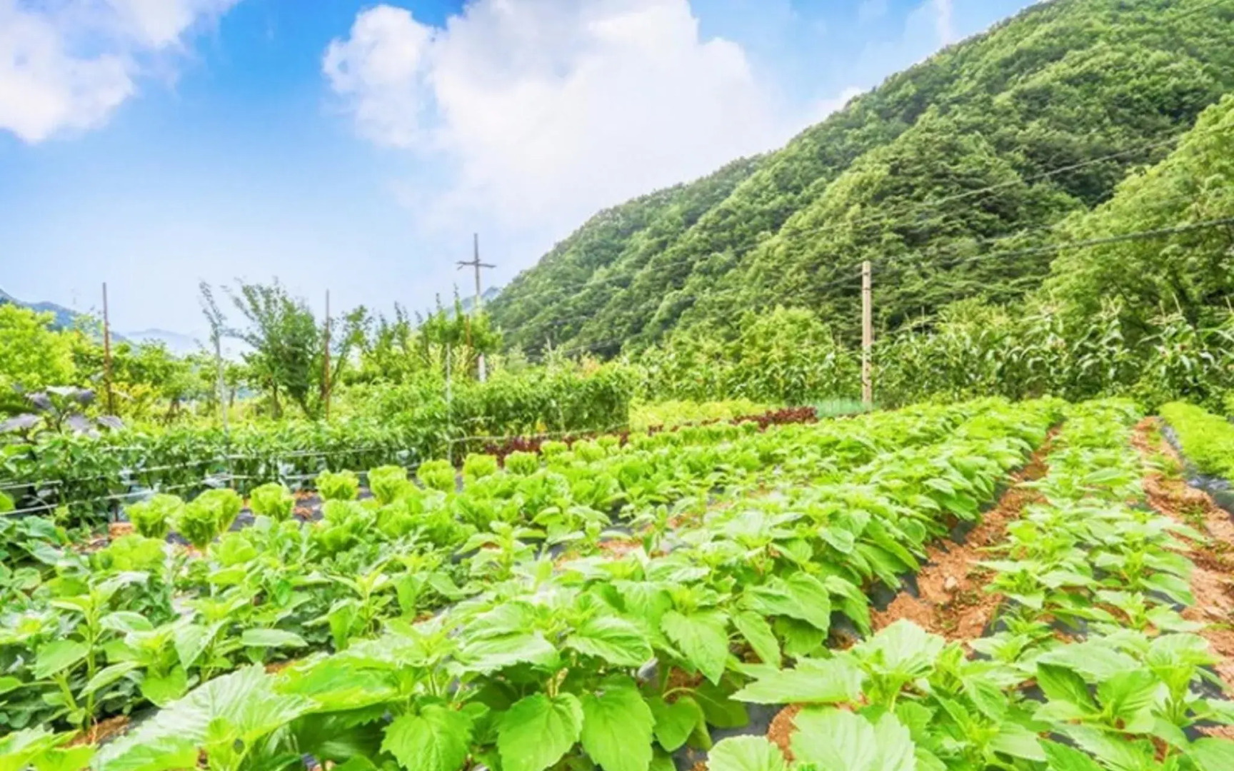 Danyang Sanmaru Pension