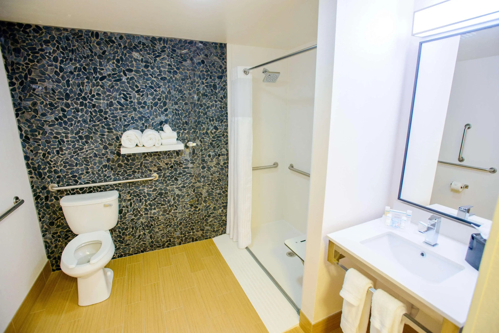 Hilton Garden Inn Rochester Downtown, MN