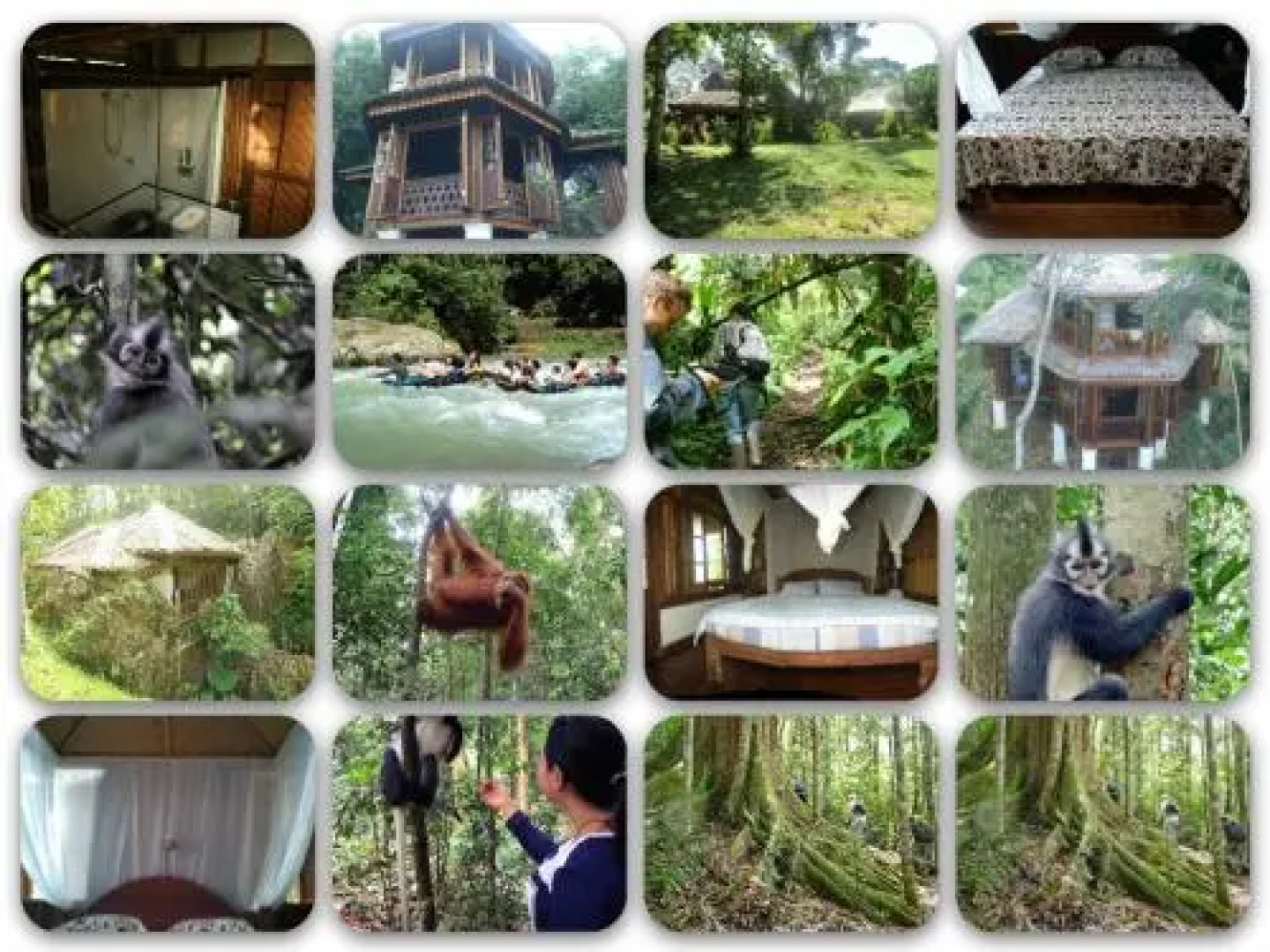 Bukit Menday Guest House