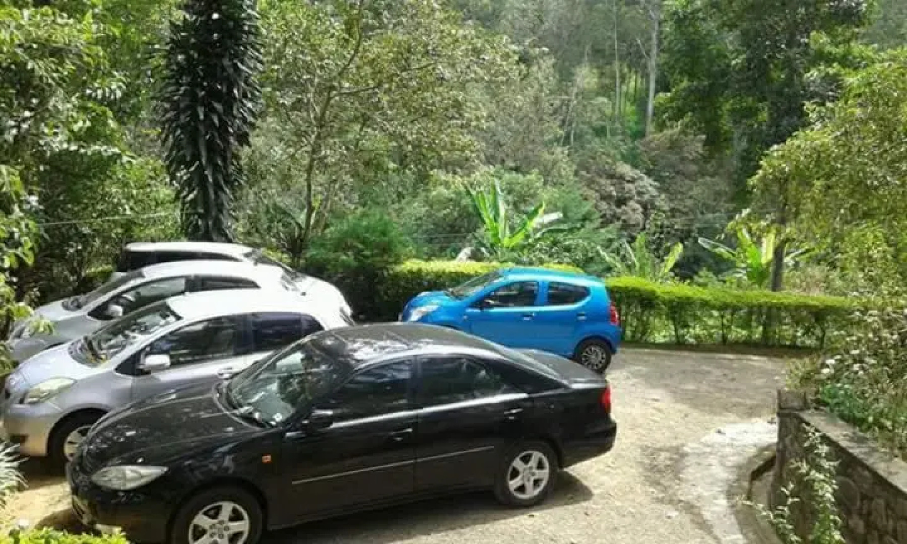 Windsor Forest Bungalow