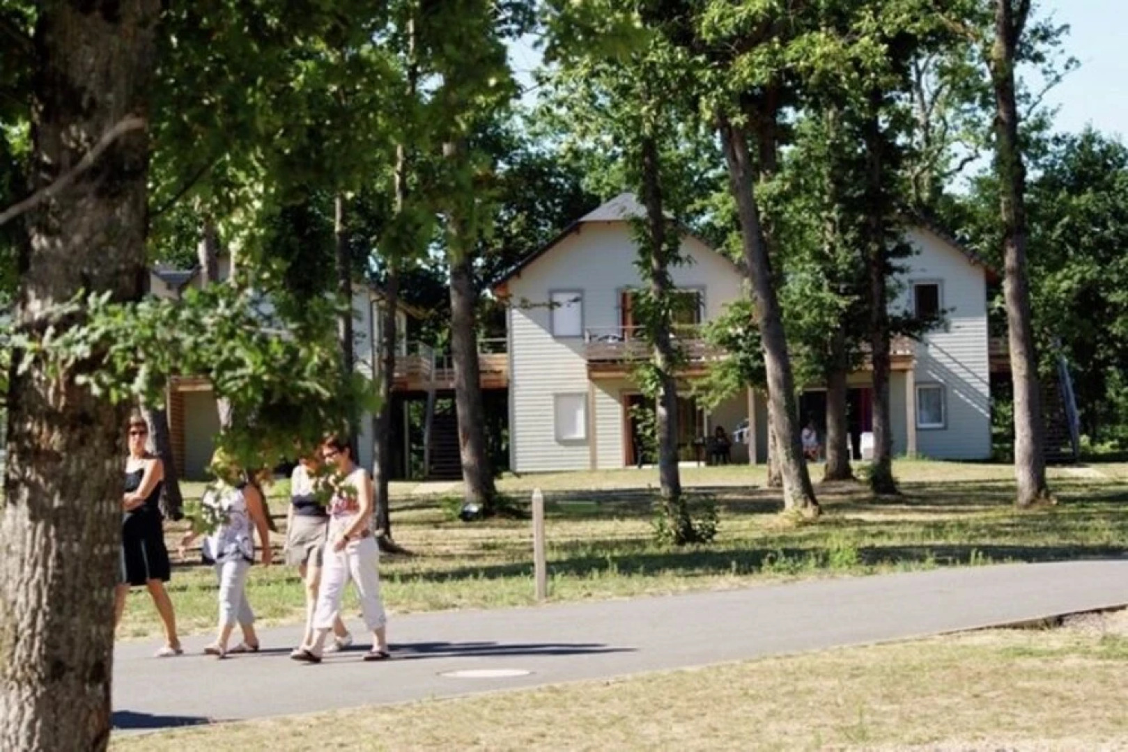 Apartment with balcony or terrace in the wooded Loire Valley