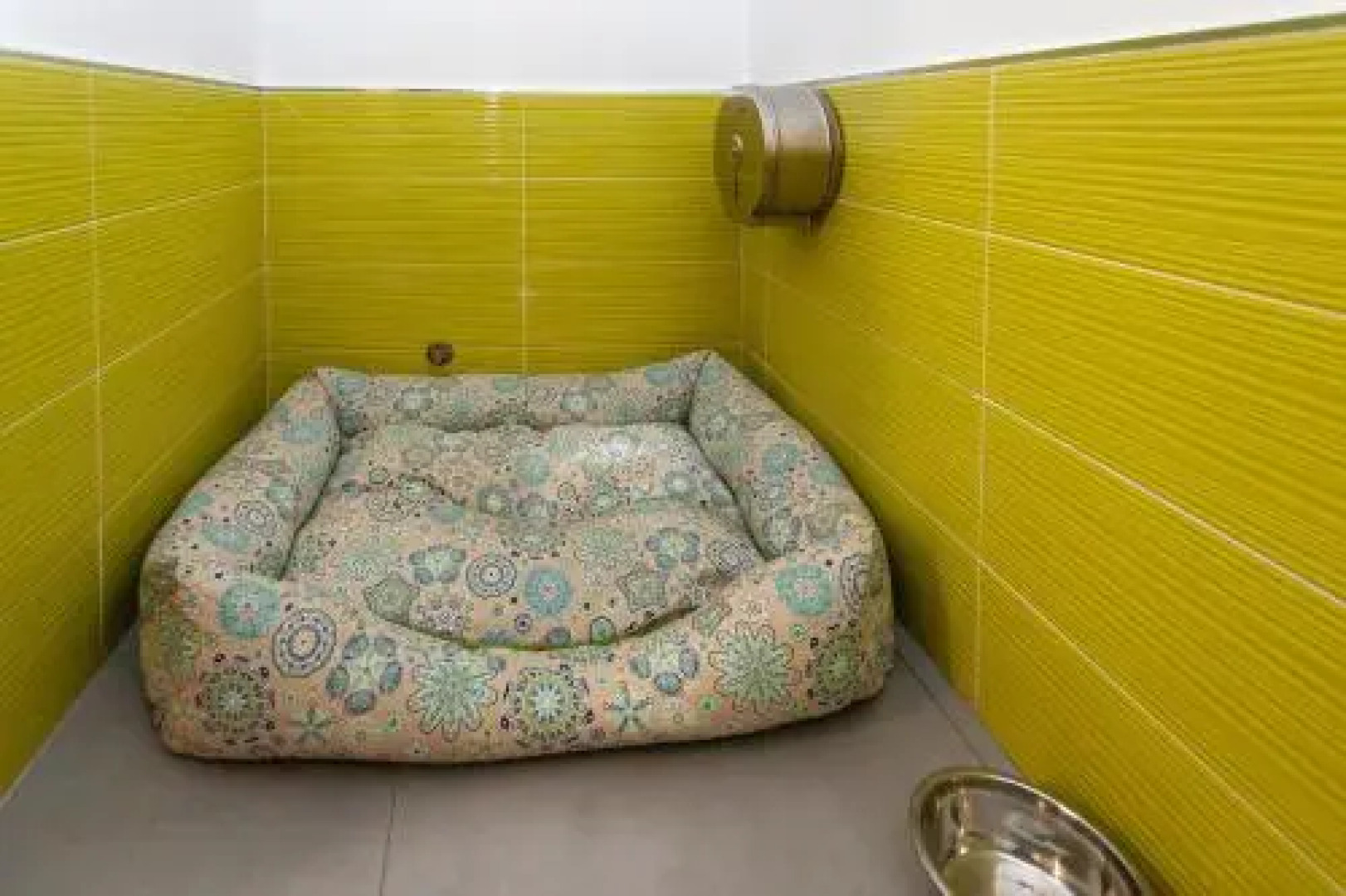 Casa Rural "El Paseo del libro"