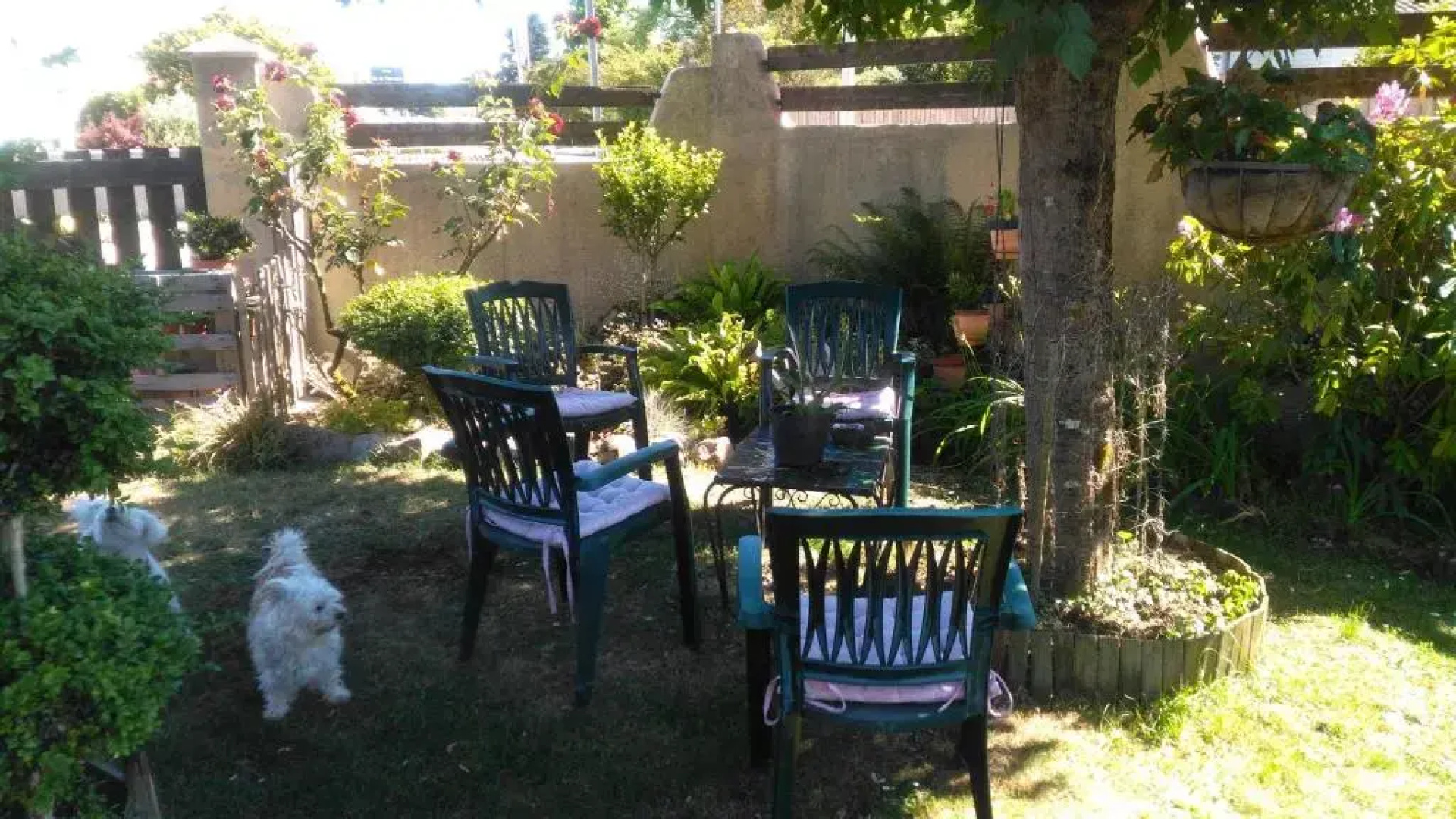Petit Chez Soi Dans Mon Petit Chez Moi (Adults Only)
