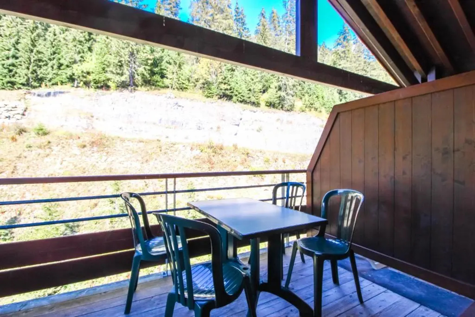 Les Terrasses d'Eos, 1-bed apartment with fireplace, Ski in, Ski out