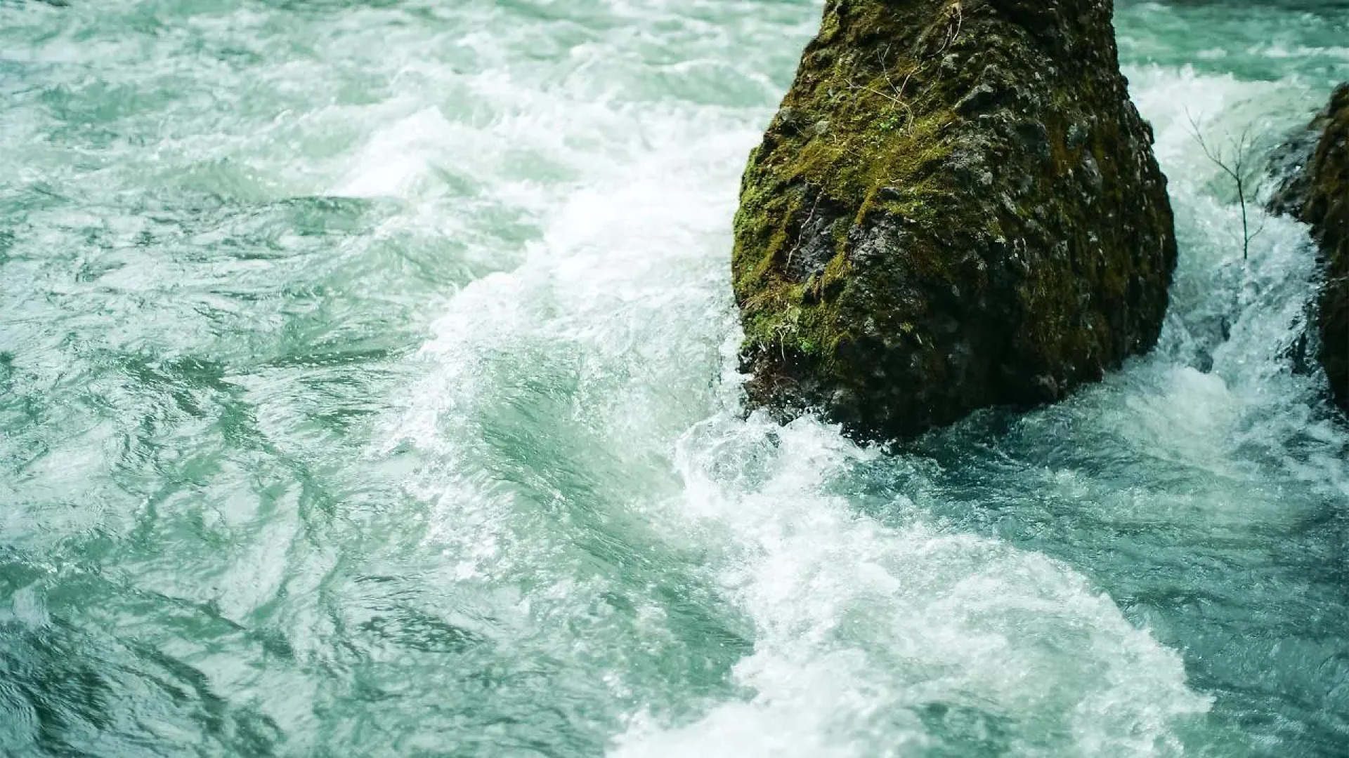 hotel yutoria fujisato