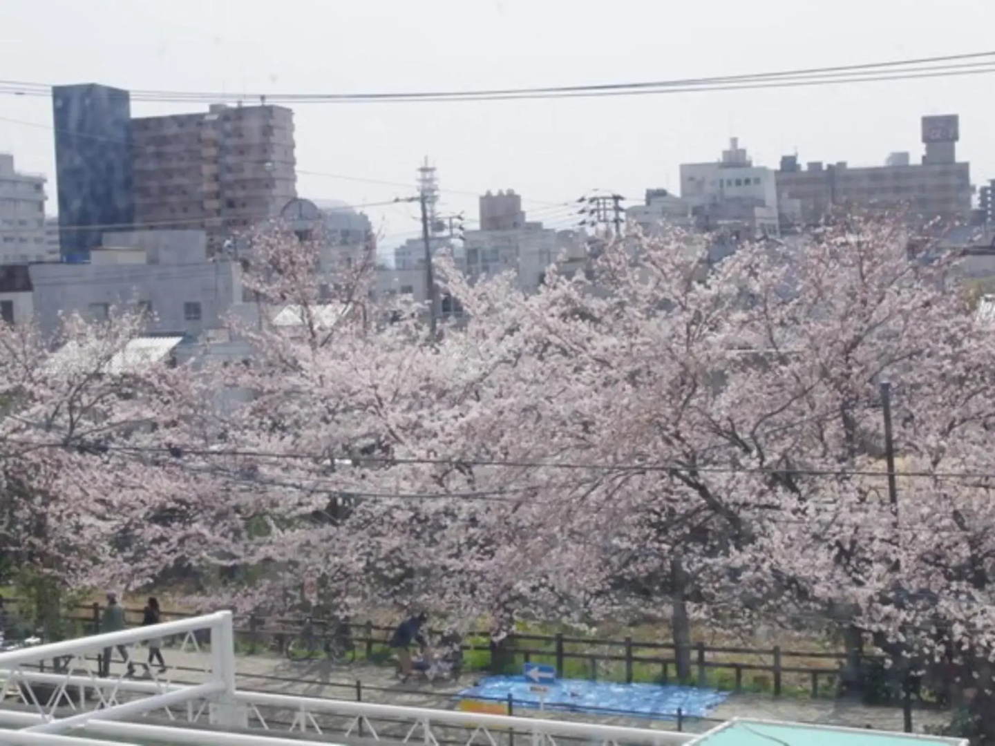 Tottori City Hotel
