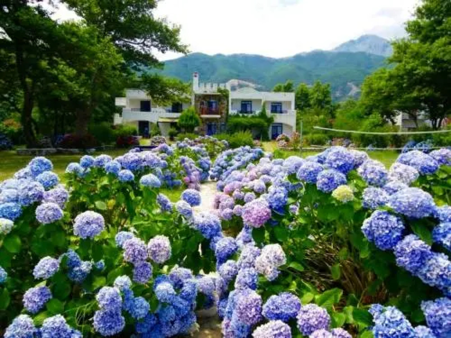 Archondissa Beach Aparthotel