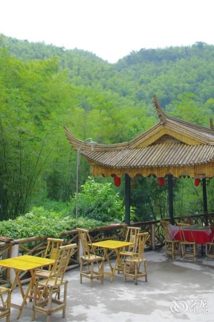 Yibin, Sichuan Bamboo Sea of Emerald Hills