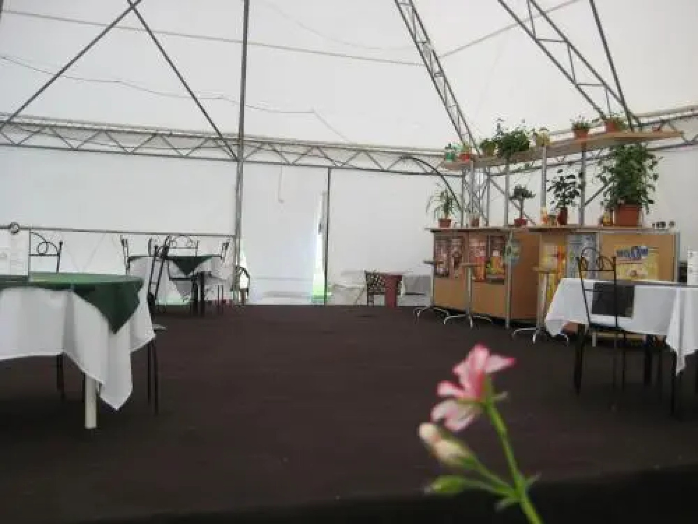 Eco Hotel & Camping LEO