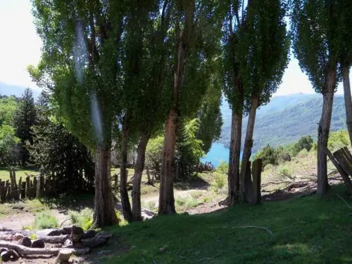 Cabañas Epuyen