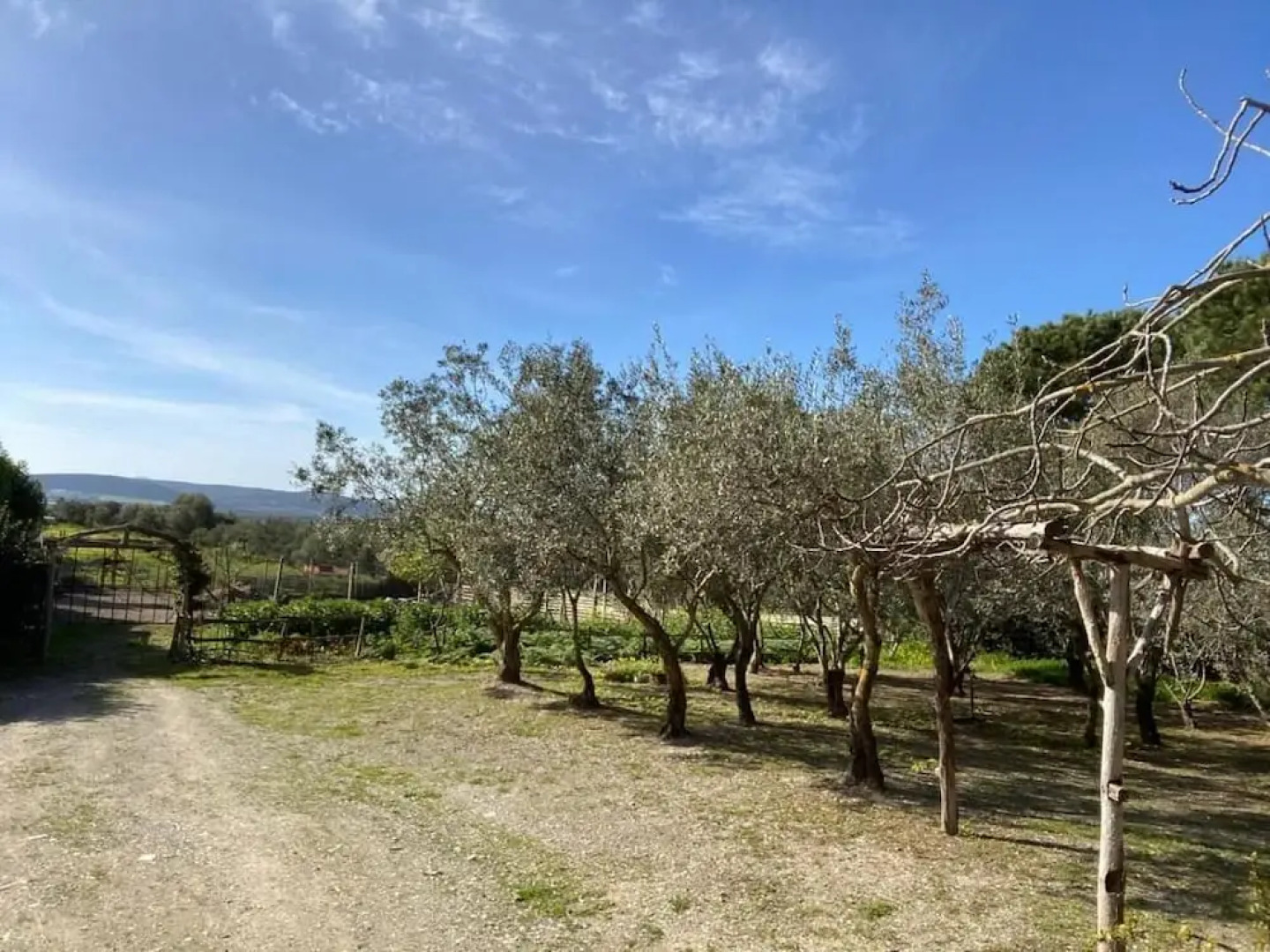 Affittacamere Il Girasole