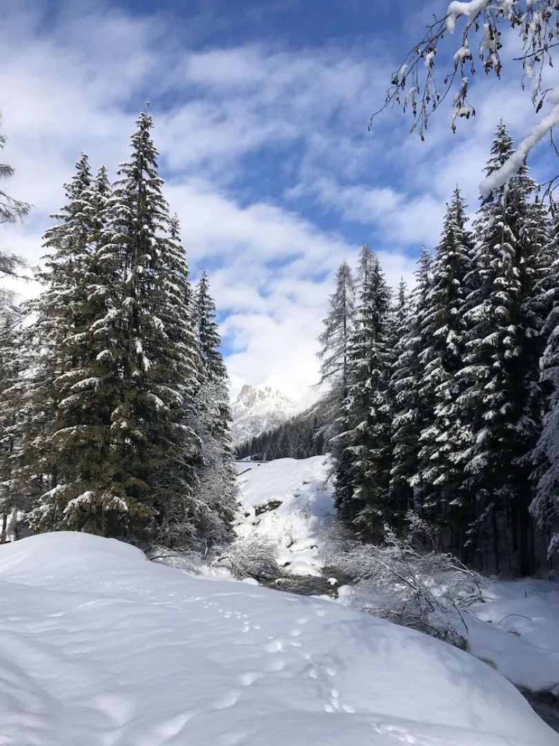 Alpine Touring Hotel