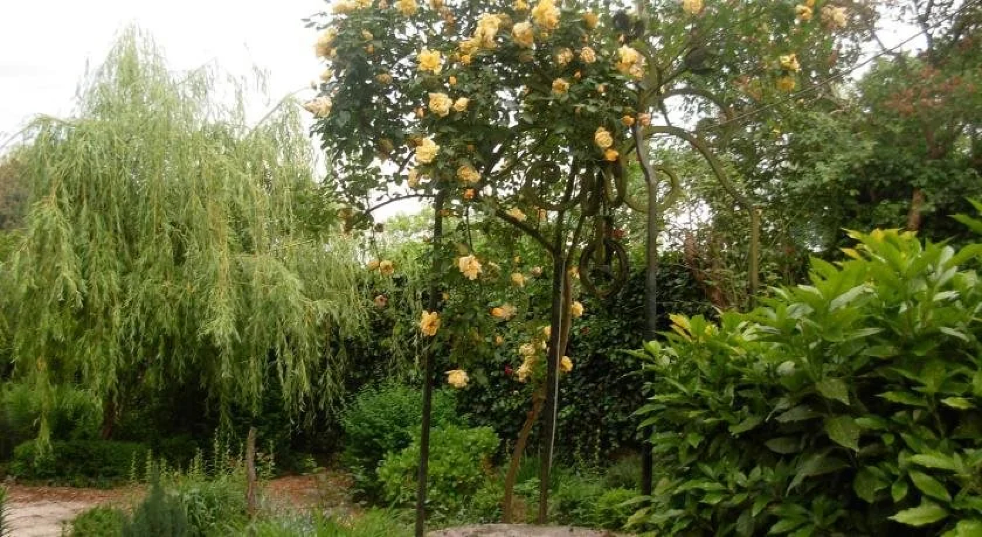 Manoir Du Vieux Cedre