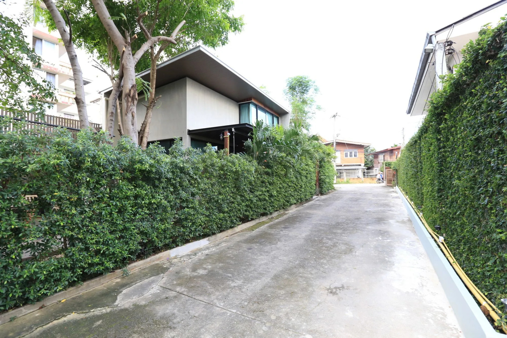 The White Elephant Home