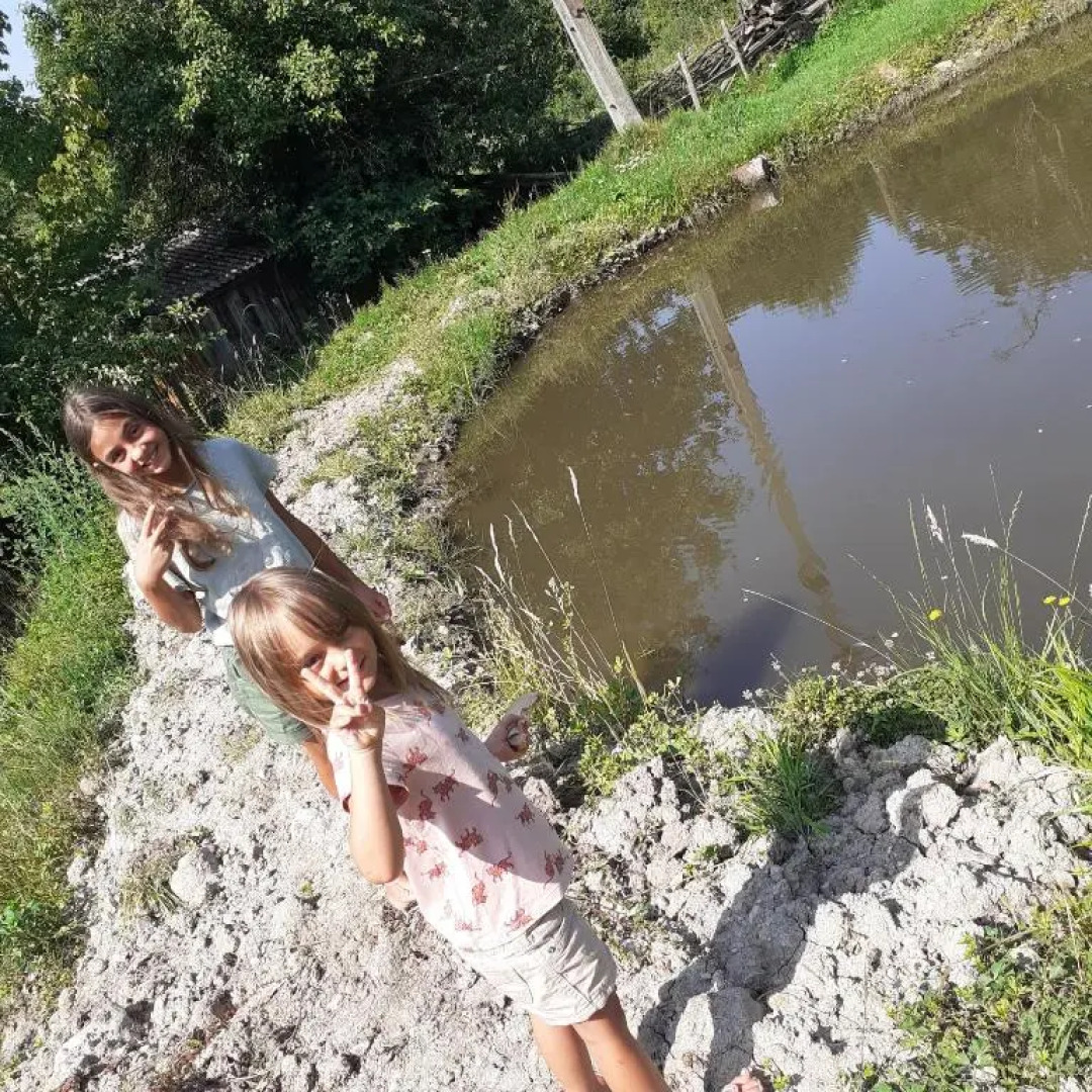 Room in Guest Room - Healthy Retreat Holiday in Mountain