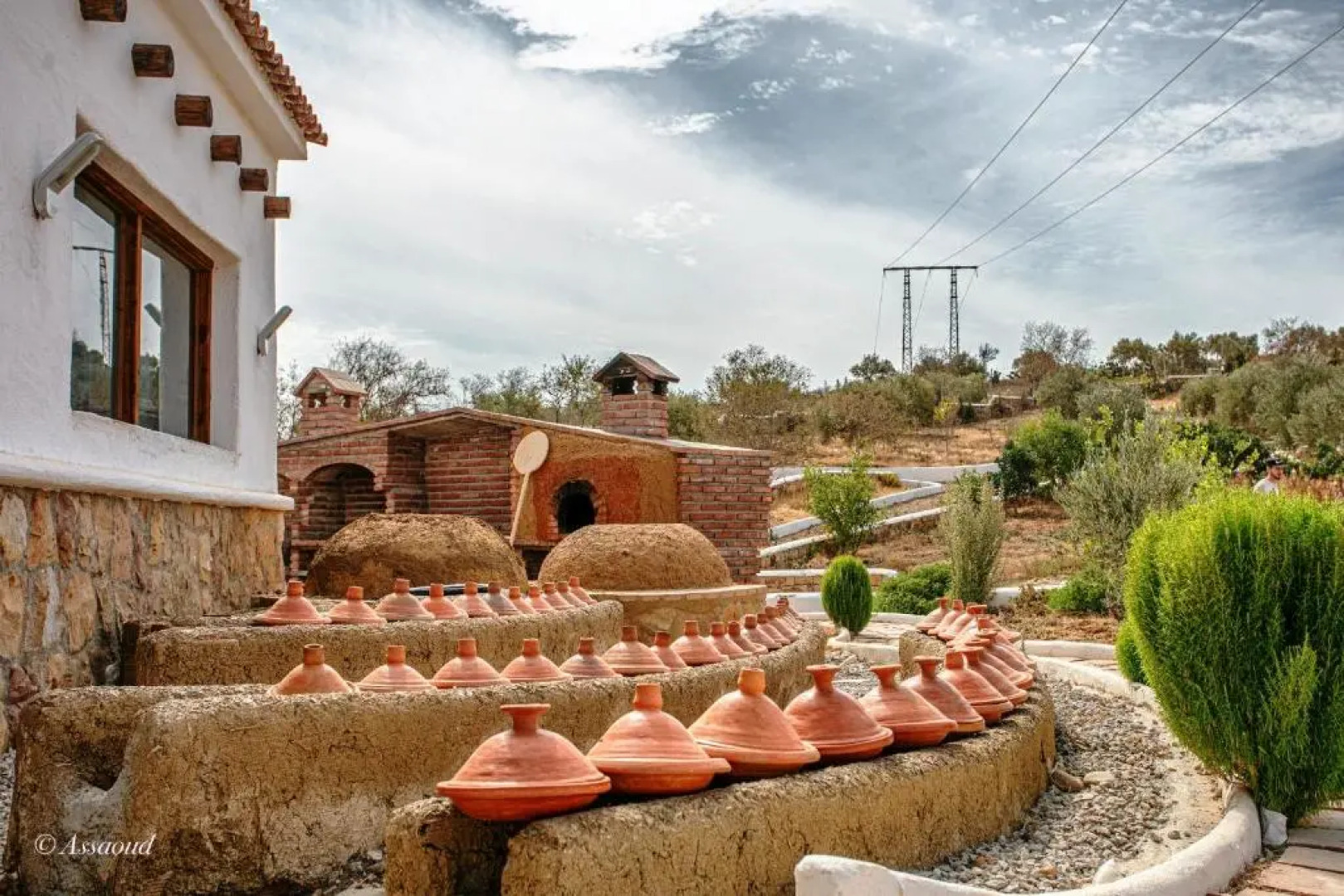 Room-bungalow Double 12 - El Cortijo Che