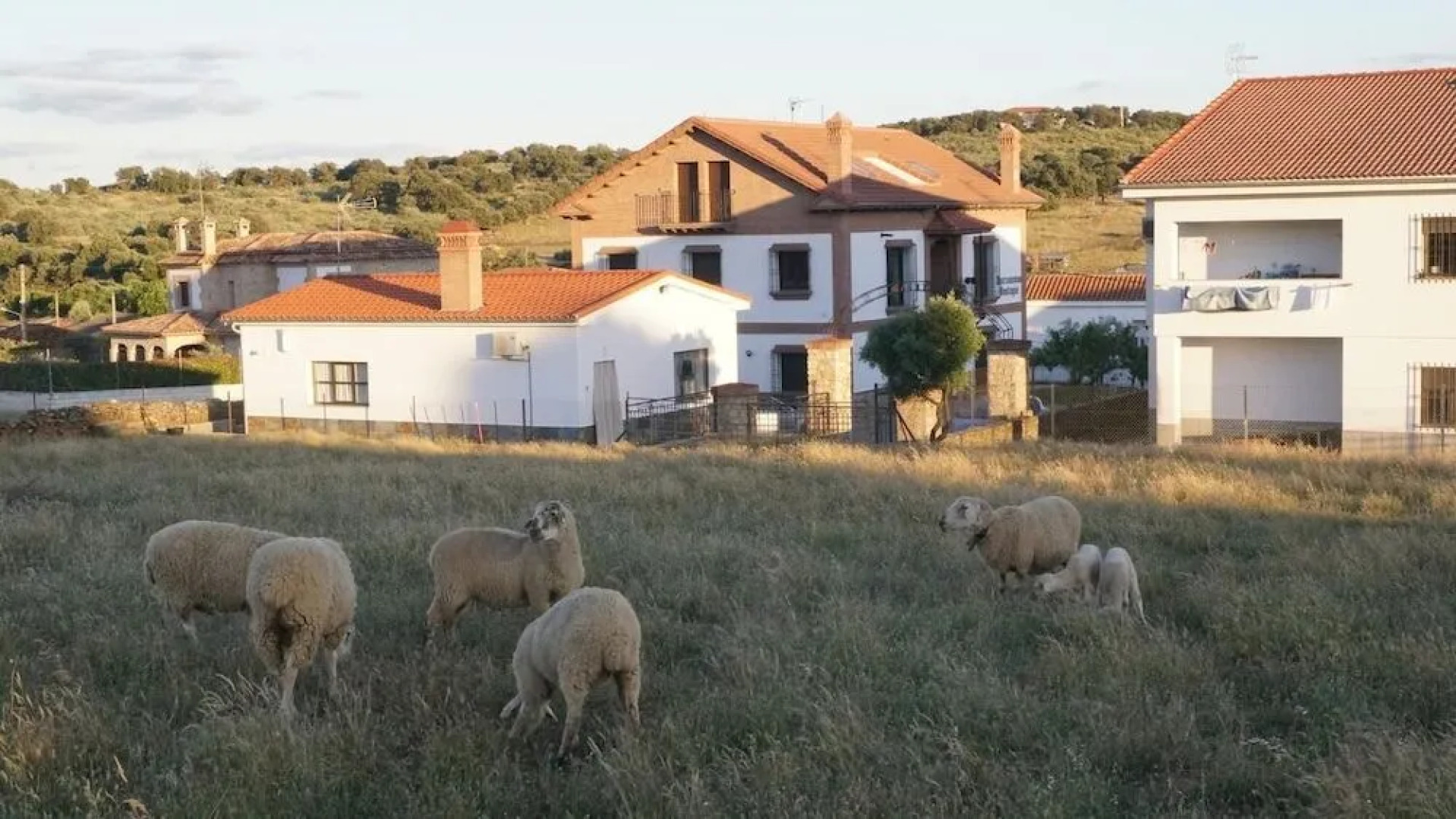 Apartamentos Estrellas de Monfragüe