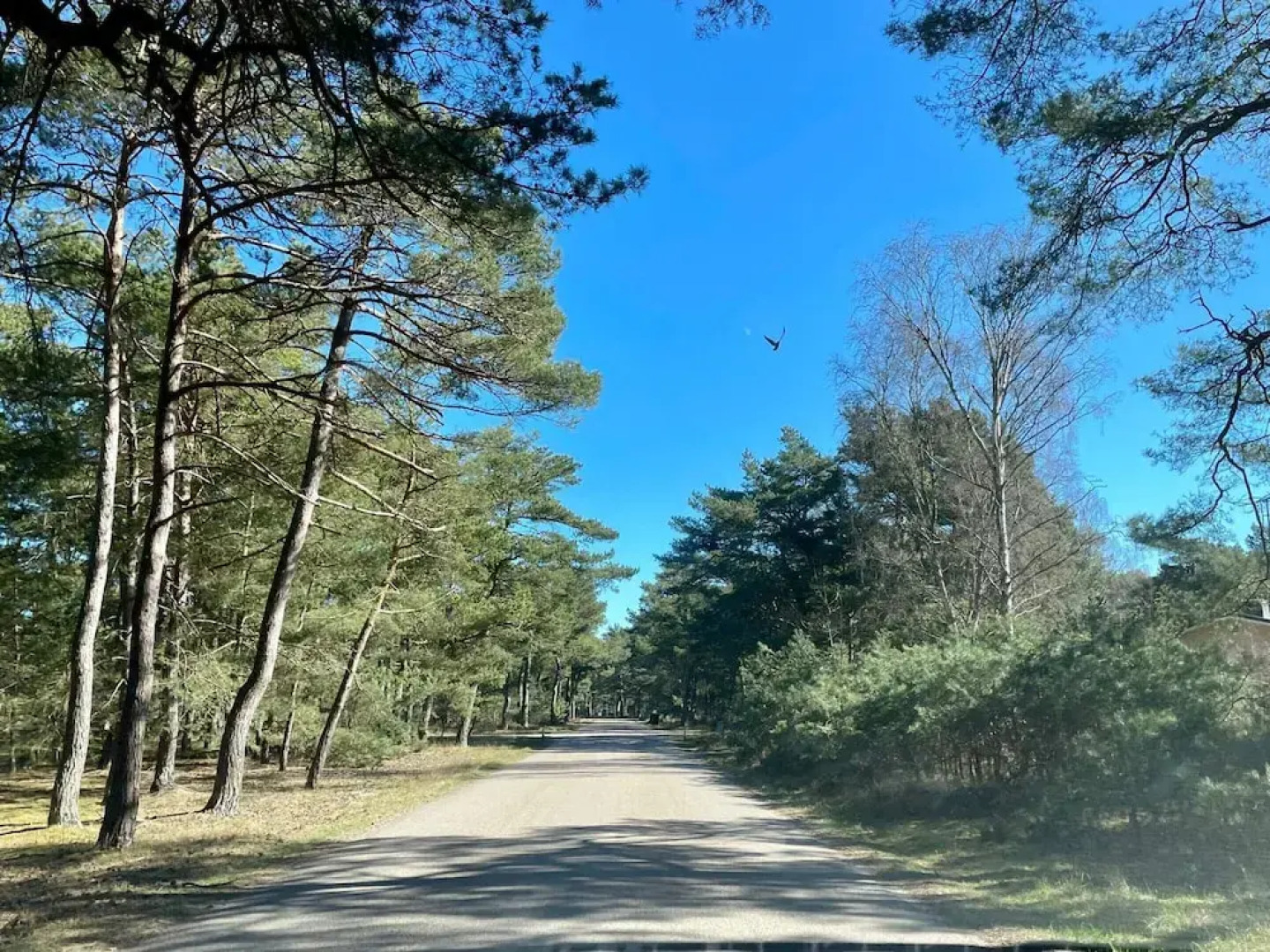 4 Person Holiday Home in Hollviken