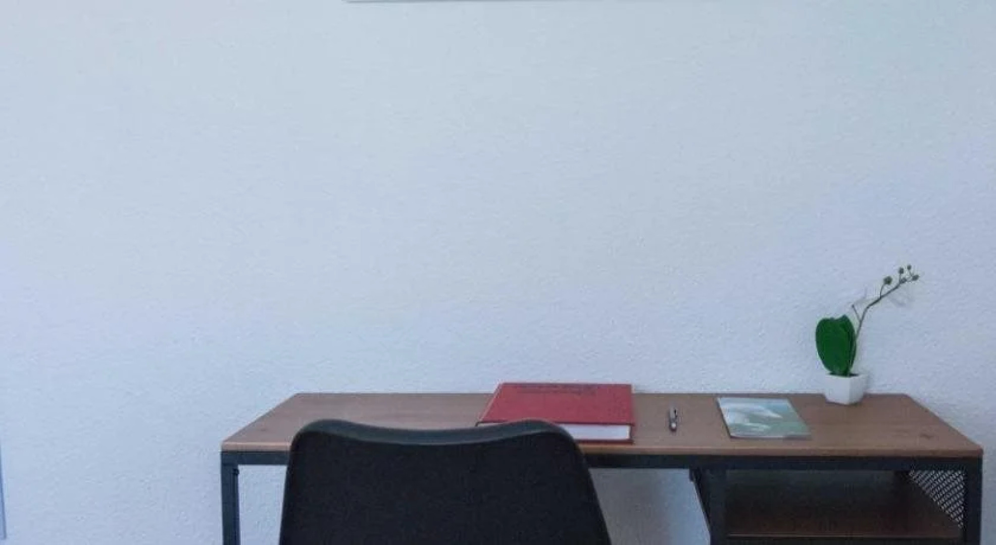 Puffin Palace Guesthouse