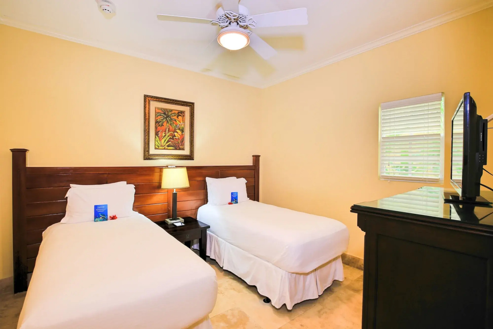 Windsong on the Reef