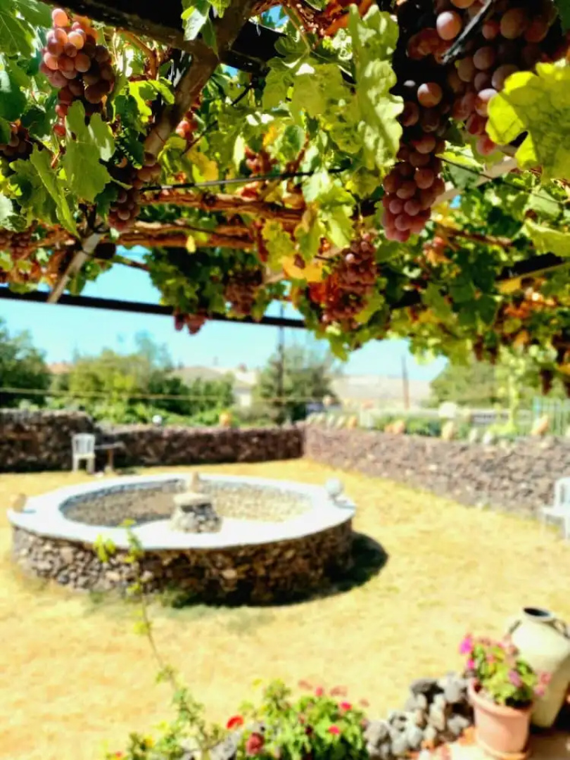 Ulaş Cave Otel