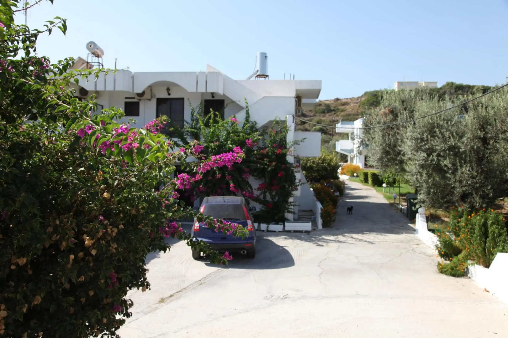 Despina Hotel