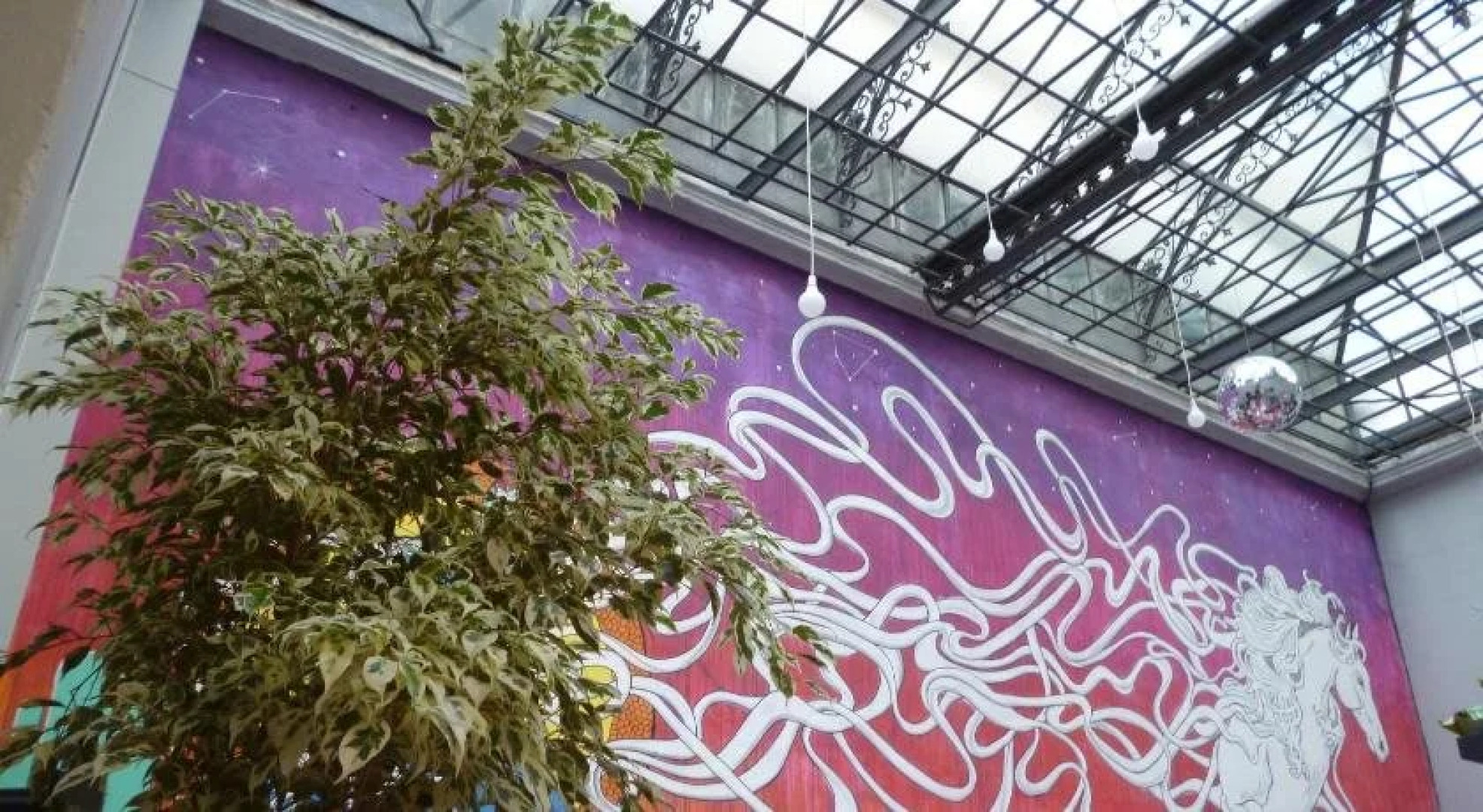 Caballo Loco - Hostel