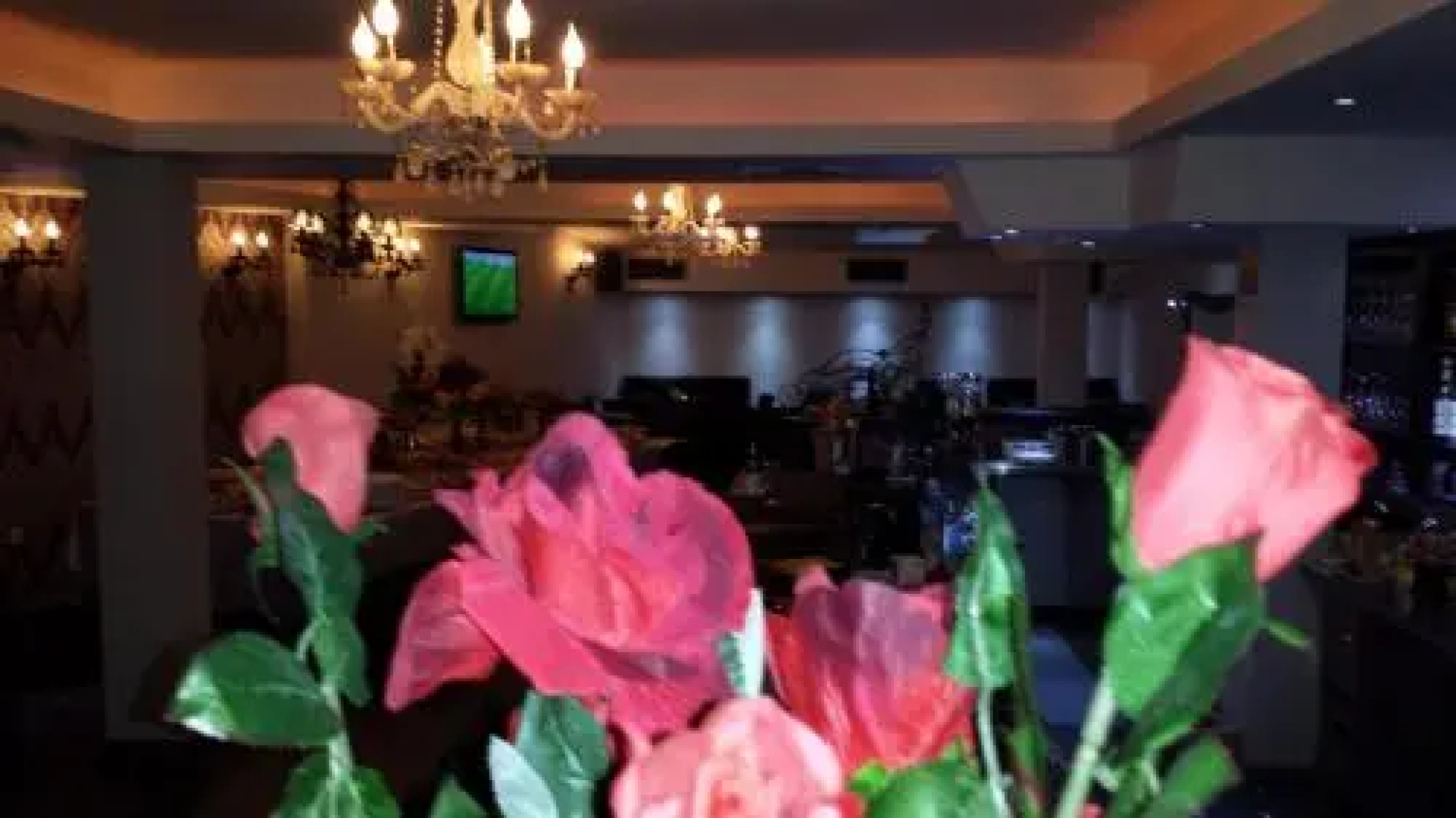 Bela Kuka Hotel