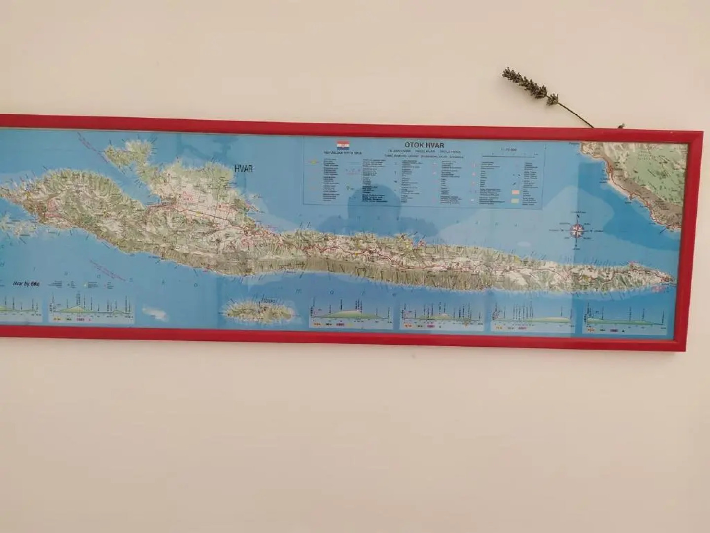 Apartments 1st line to sea and beach,quiet area,private parking,terrace with sea view