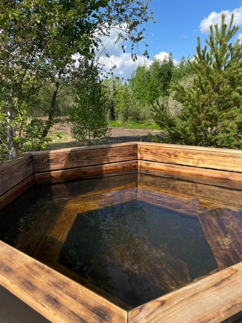 Гостевой дом Scandi house