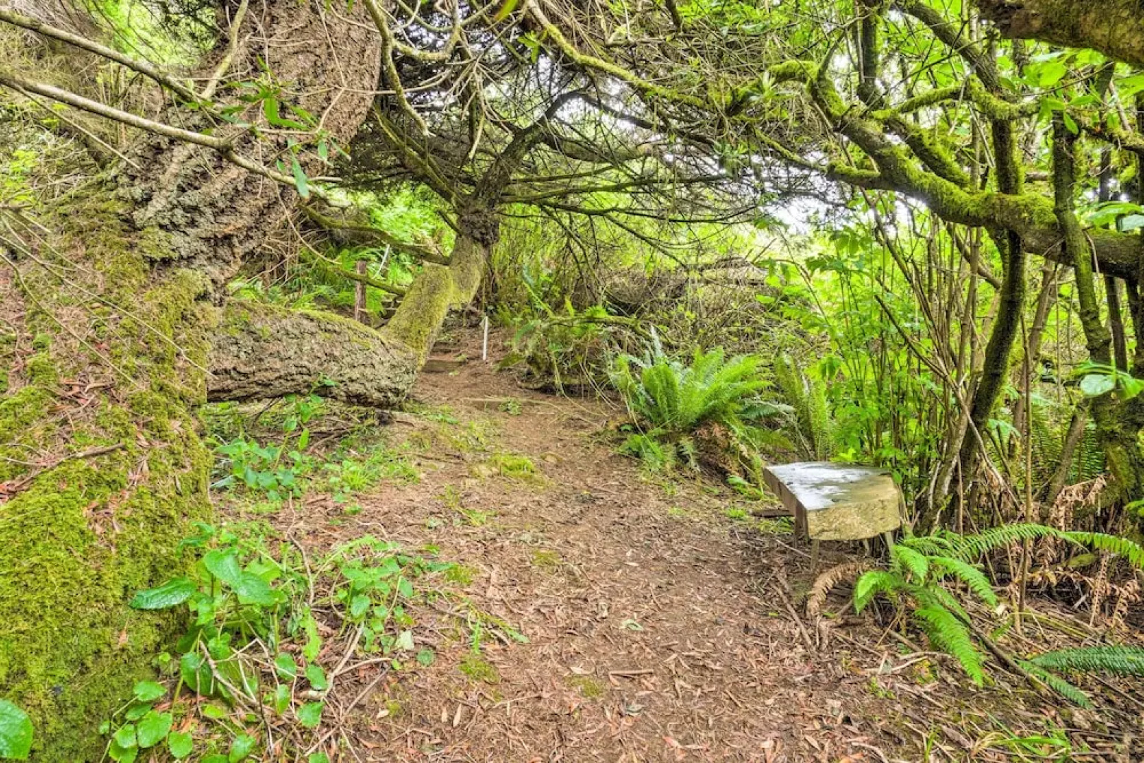 Serenity By The Sea - Chic Oceanfront Home w/ Deck