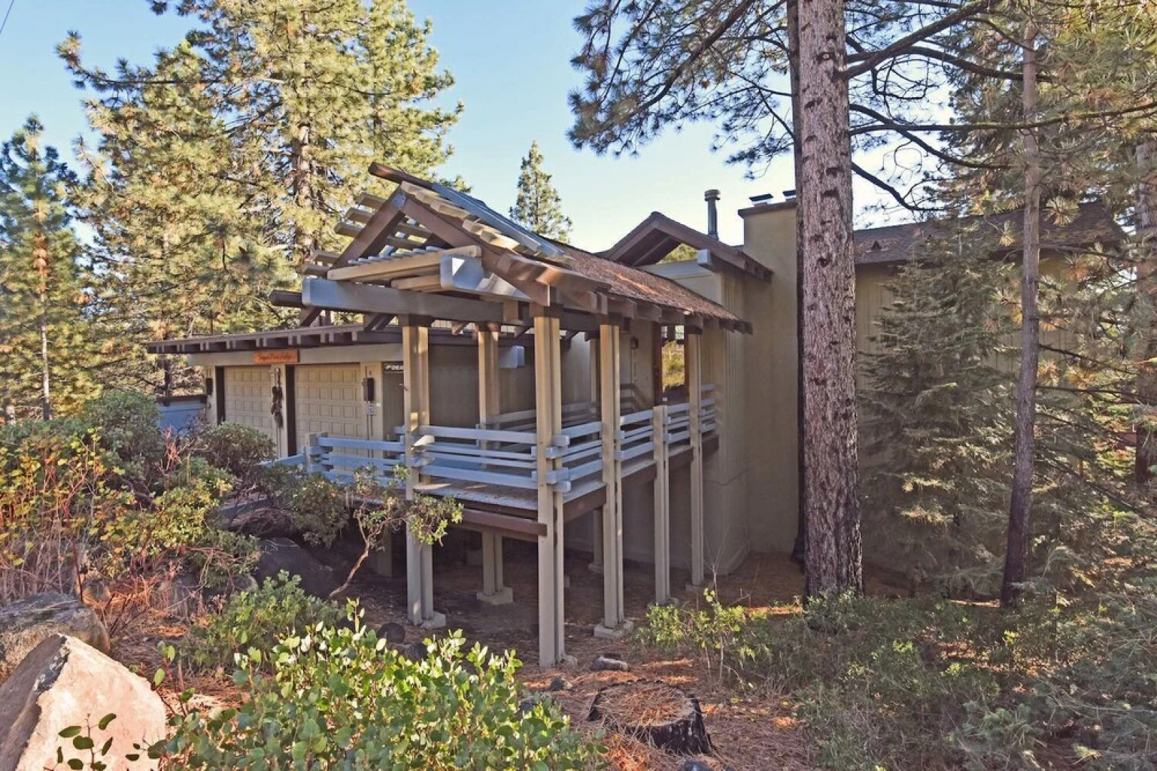 Dollar Point Delight