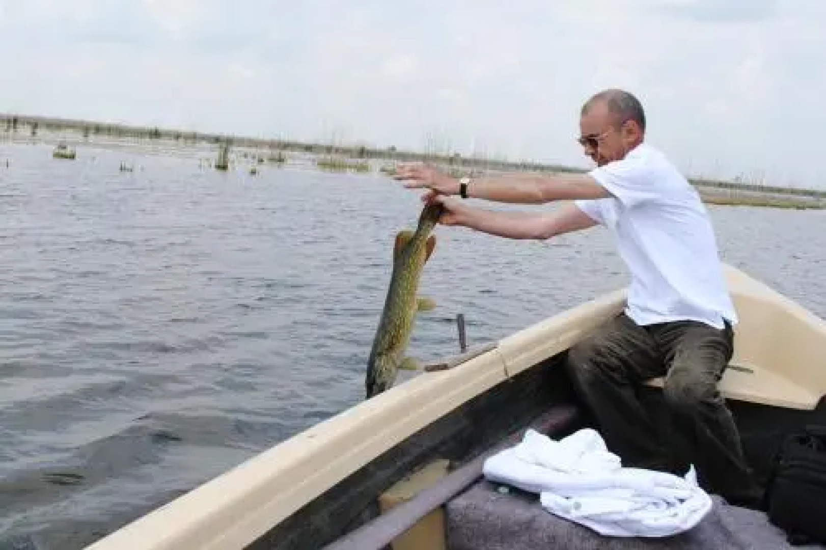 Vila Delta Travel - Mila 23