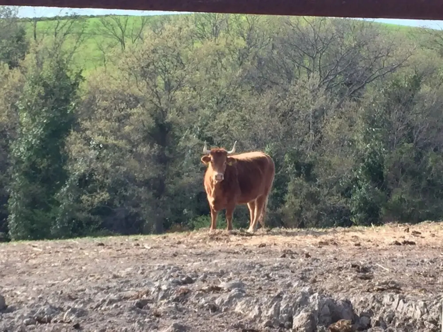 Agriturismo San Leone