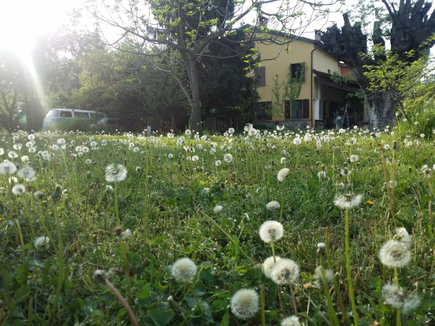 B&B L'Albero Cavo