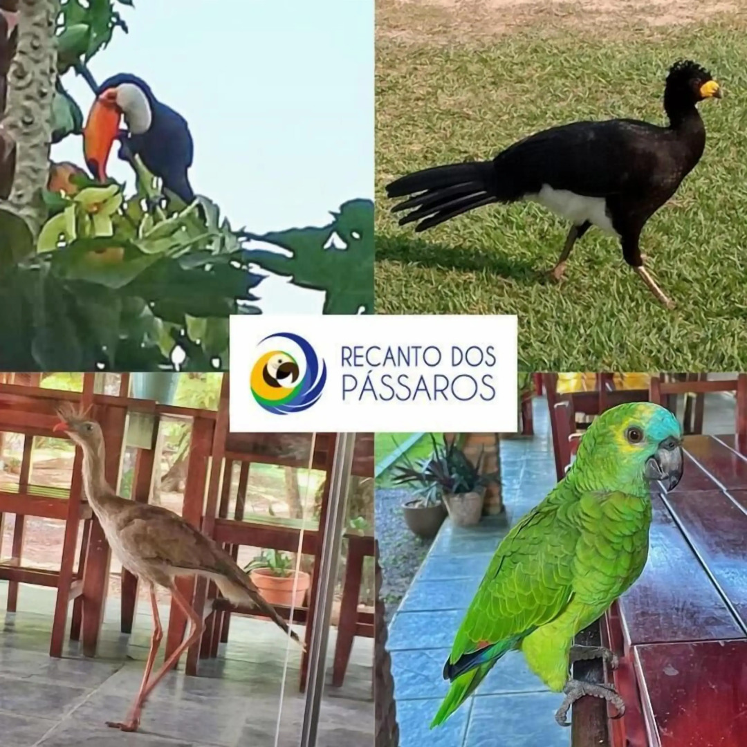 Pousada Recanto dos Pássaros