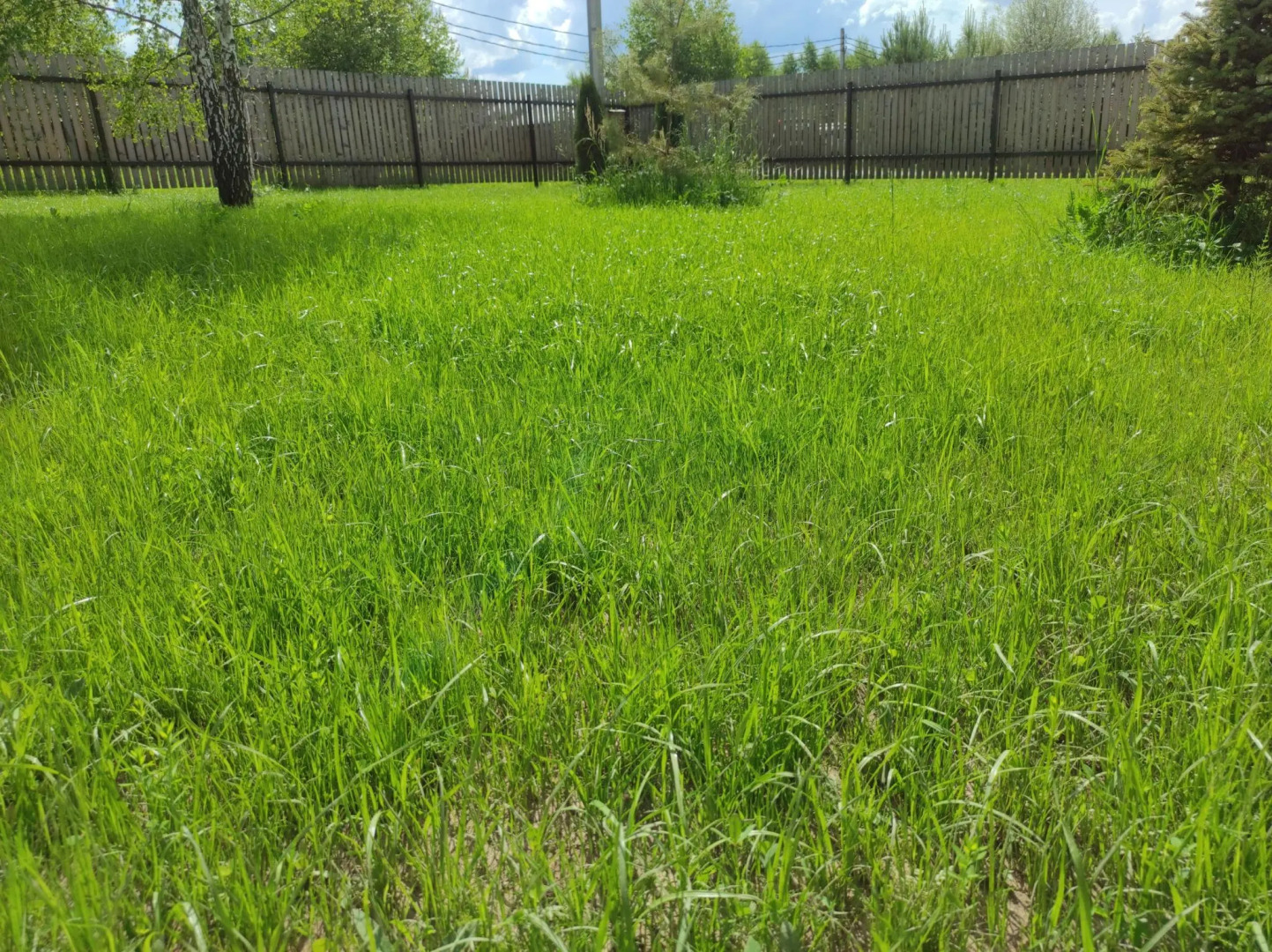 Веселёво.Дача