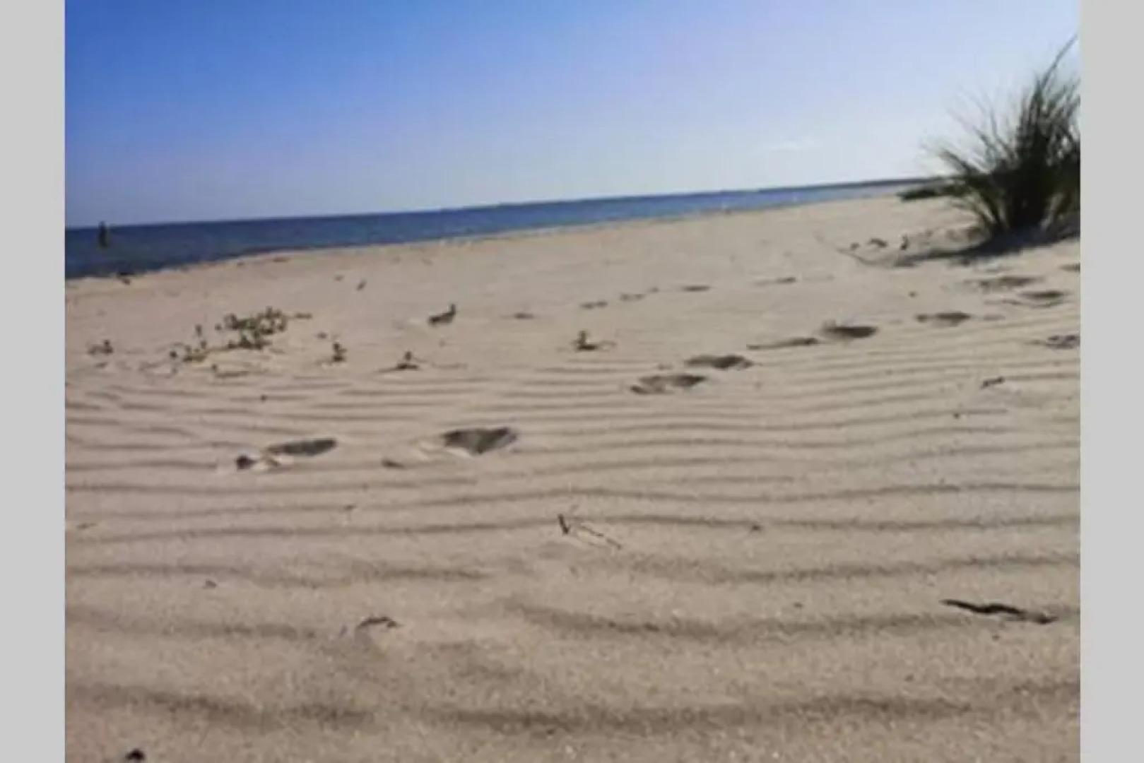 Villa Neptuni lägenhet och rumsuthyrning