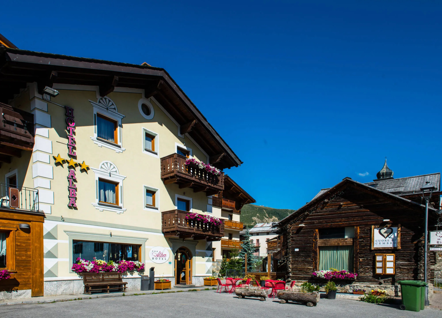 Alba Alpine Hotel