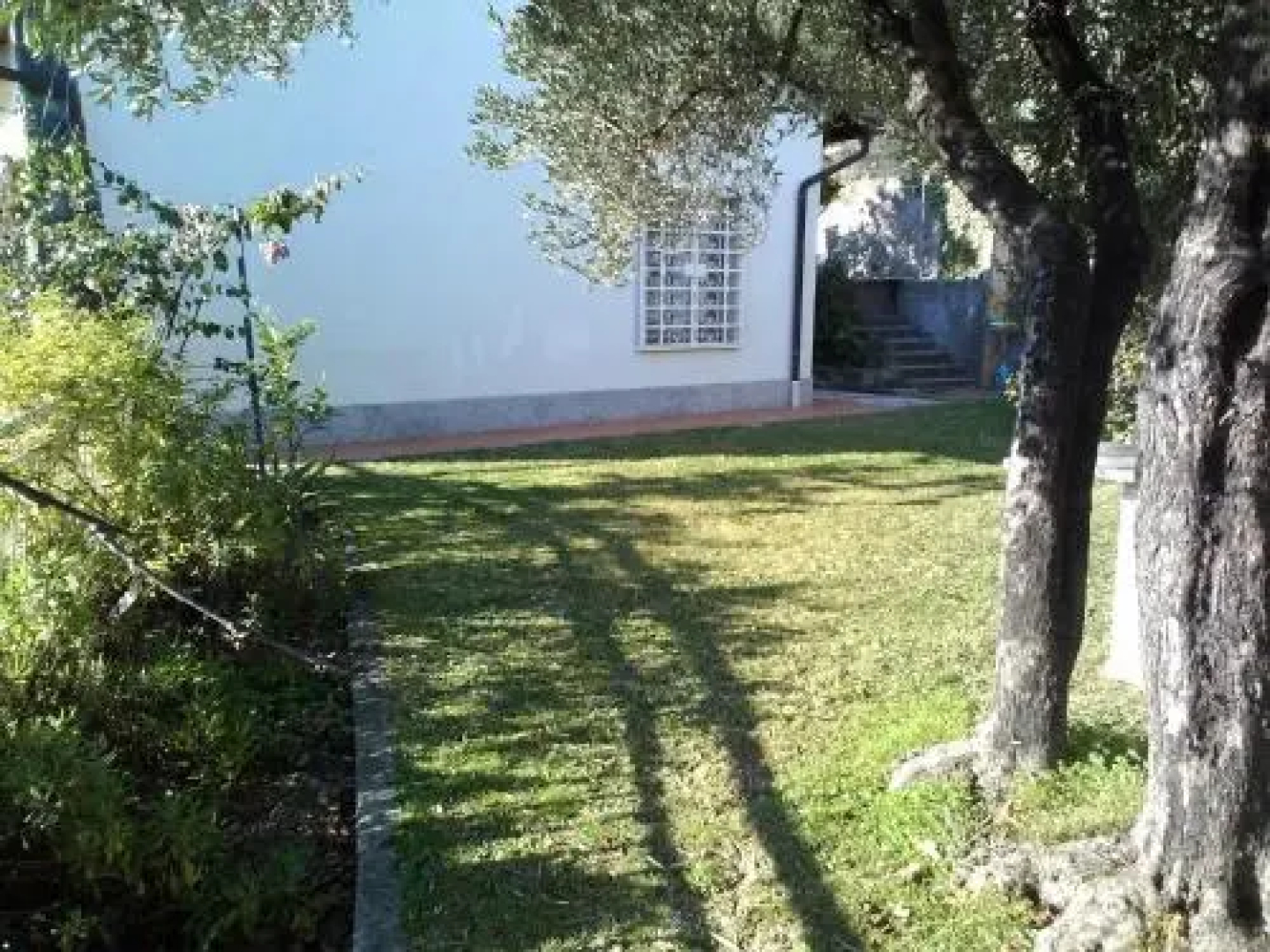 B & B Sachawasi