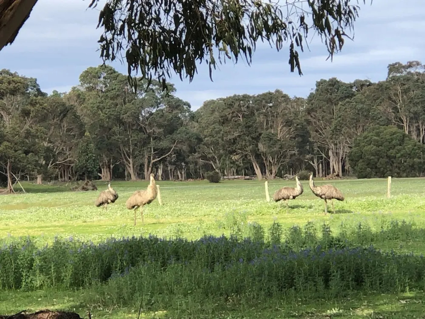 Margaret River Retreat