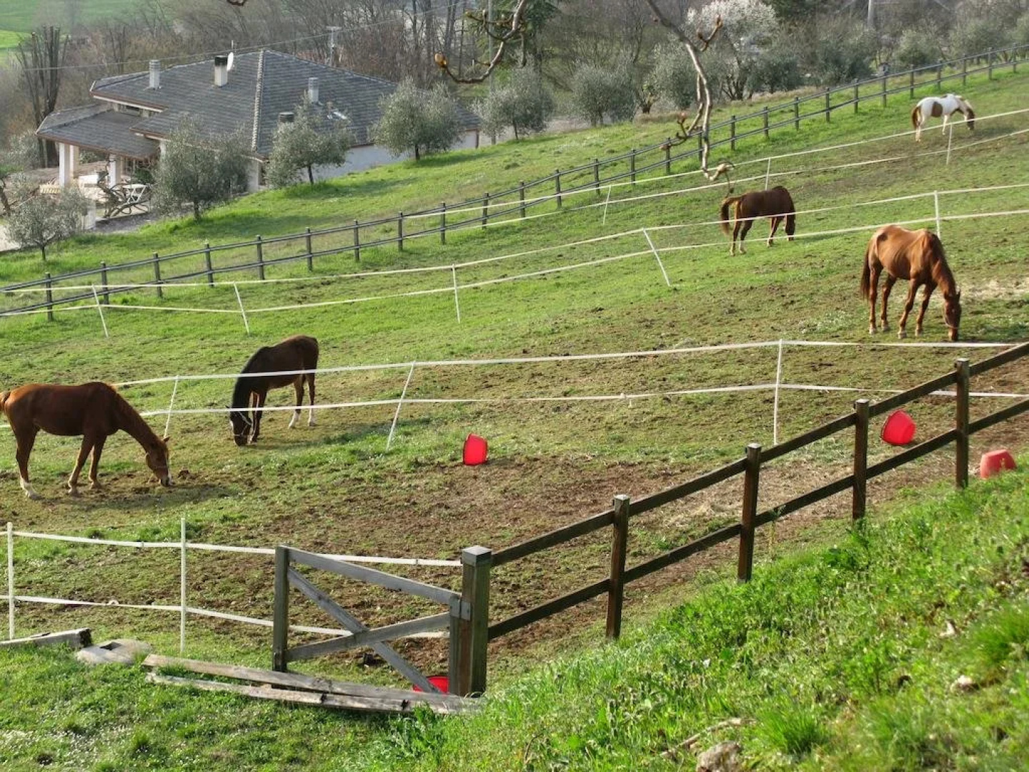 Paglia e Fieno
